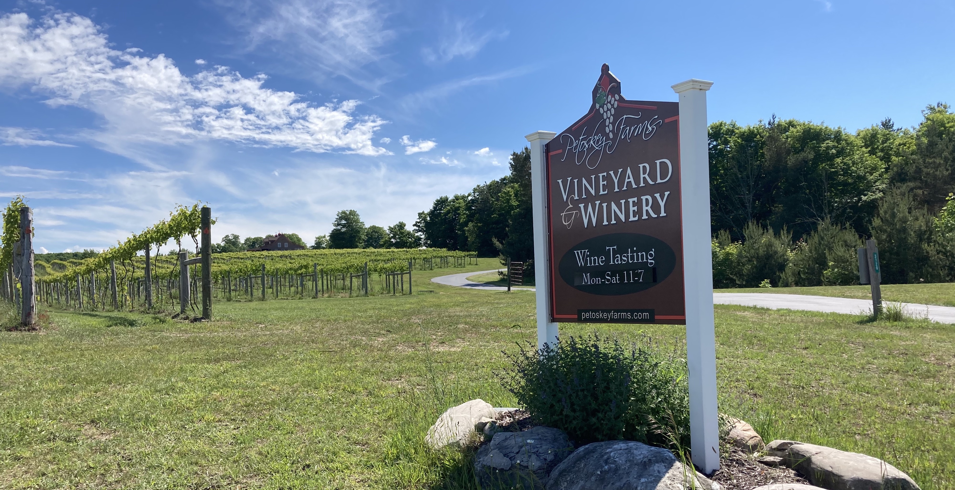 The roadside winery sign with the vineyard in the background.